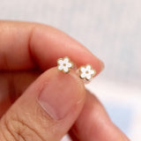 Mini White Enamel Daisy (14kt) Earrings