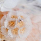 2.4mm Diamond (14kt) Earrings