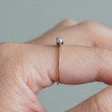 5-stone Pearl (14kt) Ring