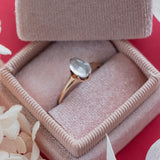 Oval Moonstone (10kt) Ring