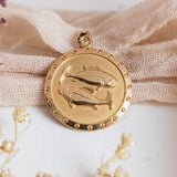 Pisces Zodiac (9kt) Pendant