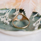 Australian Opal Signet (9kt) Ring