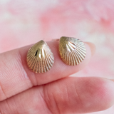 Sea Shell (9kt) Earrings