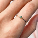 RESERVED FOR F | Parti Sapphire (14kt) Solitaire Ring