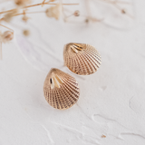 Sea Shell (9kt) Earrings