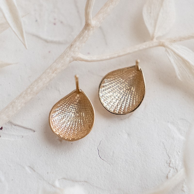Sea Shell (9kt) Earrings